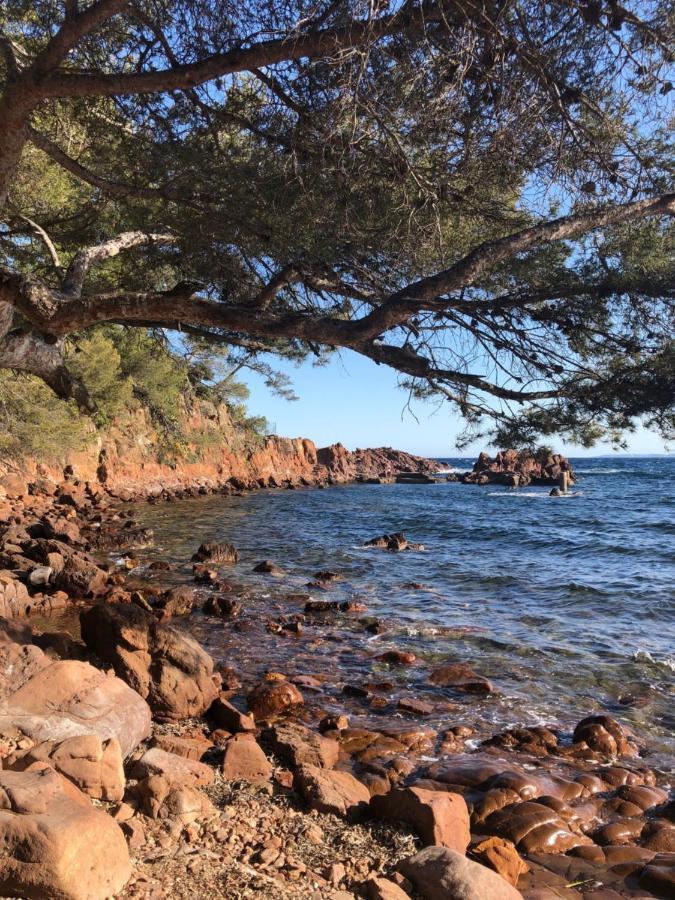 Villa 418 Saint-Raphael  Bagian luar foto